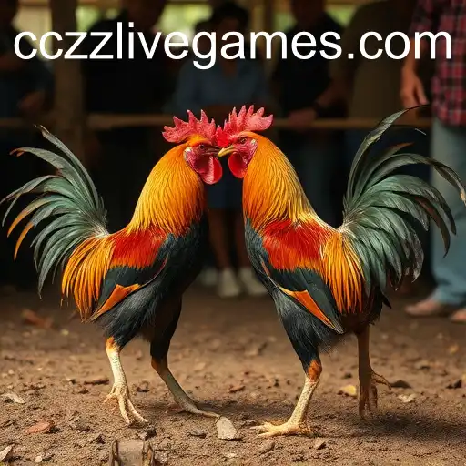 Exploring Cockfighting: A Controversial Tradition